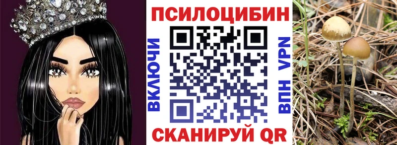 Купить Карачаевск Псилоцибиновые грибы ЛСД